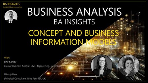 BA Insights S4.E8 (168): Concept and Business Information Models | John Wisner