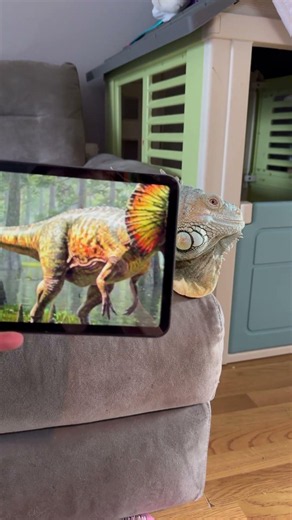 Im a Dinosaur. Roar 🦖