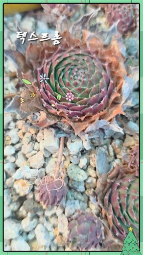 I live in a winter shelter