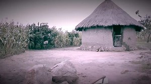 16K views · 1.4K reactions | Zvandadiwa Ndoita Seiko - Nox | Mibvunzo Nemhinduro | Facebook