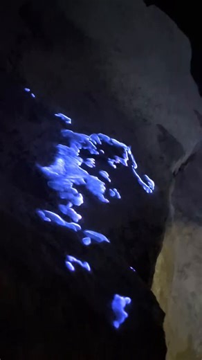 深夜移動でジャワ島にもどり、「会いに行ける火山」イジェンへブルーファイアと日の出のナイトハイクに！硫黄湧いてるのでガスマスクつけてファイアは小さめだったけど山頂日の出はGOODでした！おすすめ