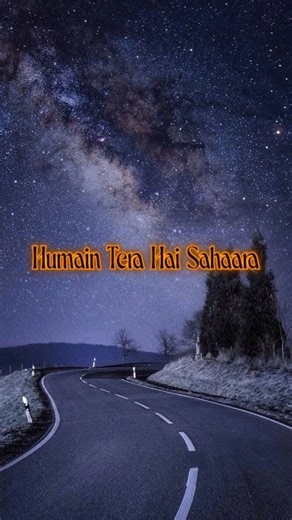 Ham Mar Jayenge || Ashiqui 2 (2013) || Arijit Singh Tulsi Kumar || Lyrics Video || #Love #Lyrics