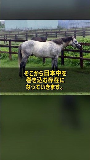 10 Wins in 12 Races at Local Kasamatsu: The Story of Oguri Cap Before He Came to the JRA #Shorts