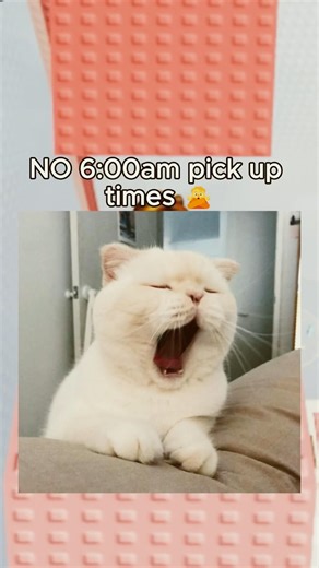 if I was your SCHOOL BUS DRIVER 🚌 these would be my RULES 😎👌 #relatable #rblx #roblox #robloxrant