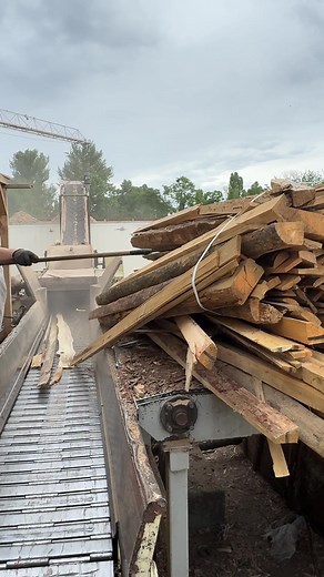 Industrial Wood Chipper Turning a Hardwood Log into Perfect Wood Chips