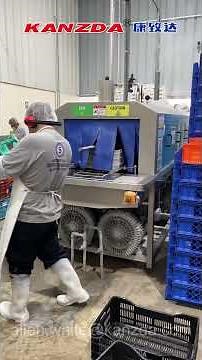 Lavadora Industrial de Jabas Plásticas con Lavado y Secado | KANZDA