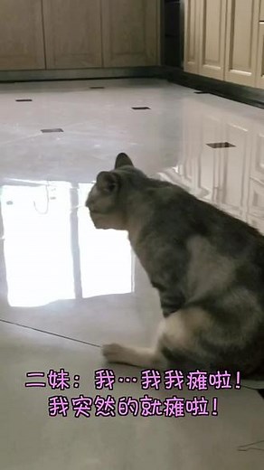 你俩这个理由都太过分了吧～😤（一直都在定期做驱虫，二妹是小四升级版，两腿都起飞了！我也很费解）😰