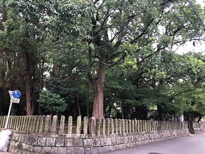 白山神社　（熊本市中央区）　◇