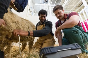 The making of a veterinarian