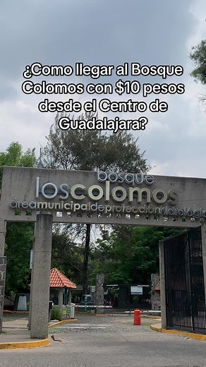 Como llegar al Bosque Colomos con $10 pesos? #bosquecolomos #caballos #jardinjapones #guadalajara #villaviajero @Villa Viajero