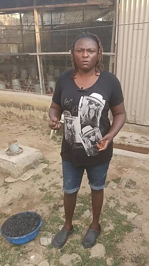 1.7M views · 54K reactions | Fact about the use of crushed charcoal in poultry farming. | Rabiu Halima | Facebook