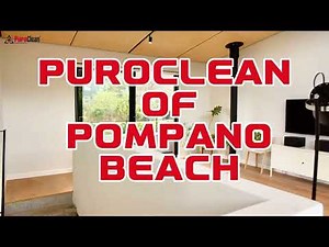 From Water Damage to Full Recovery: PuroClean Of Pompano Beach Remediation Experts at Work