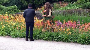 Creating the lovely Lady Primula with Candelabra Primulas from the Streamside Garden for Harlow Carr Flower Show 2017 https://www.rhs.org.uk/gardens/harlow-carr/RHS-Garden-Harlow-Carr-Flower-Show | RHS Garden Harlow Carr