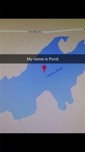 My name is pond.. 😅 #trending #funnymemes #amazingmemes #memesworldofficial #trendingmemes
