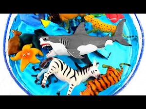 Learn Zoo Animal and Sea Animal Names For Kids Animal Planet Education Fun Video