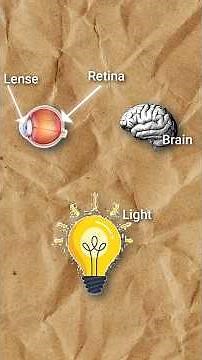 Your Eye vs Camera Lens | Human Vision vs Camera Lens || The Real Comparison || MaarfaVerse