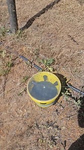 New fly traps, $27 including bait. These are something special, check the video.. update. All sold, more coming next week. If you have been given a thumbs up in comments, then we have put your request aside. UPDATE - back in stock. Order online to secure them https://hernehillstockfeeds.com.au/products/fly-buster-trap-bait?_pos=1&_psq=fly buster&_ss=e&_v=1.0 | Herne Hill Stockfeeds