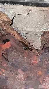 Yeah, it's good. #automobile #mechancial #airbagsuspension #mecanical #carmodification | Confused Mechanics