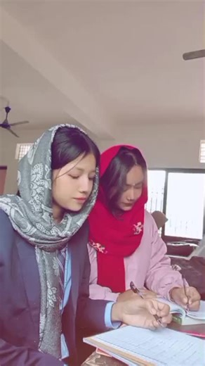 Funny Class Time Moments to Brighten Your Day