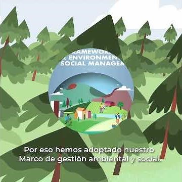 Marco de gestión ambiental y social