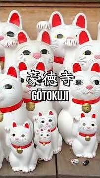 This Japanese Temple is Full of Lucky Cats! 🐱 #japantravel #cats #japaneseculture