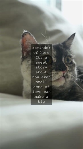 A Tale of Love and a Cat Named Foss Edward Lear the poet behind The Owl and the...