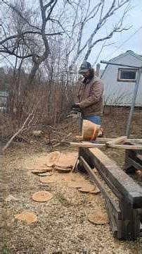 old chain versus new chain. #craftsman #chainsaw