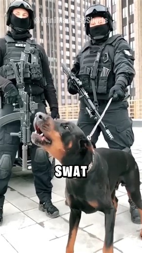 3.5K views · 16 reactions | Why Do They Do This 樂 | Joni Fleming | Facebook