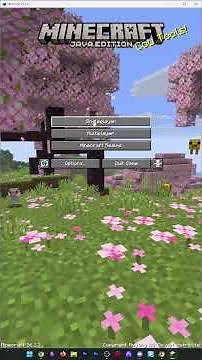 How To XRay in Minecraft Java Edition