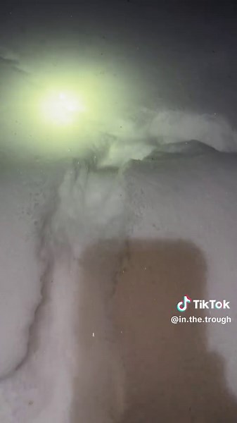 Mouse for dinner #sfyk #stemtok #animaltracks #outdoors