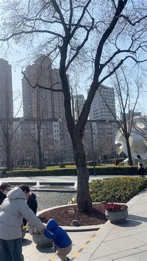 初春中的上海静安雕塑公园 | Shanghai Jing'an Sculpture Park in early spring #shanghai