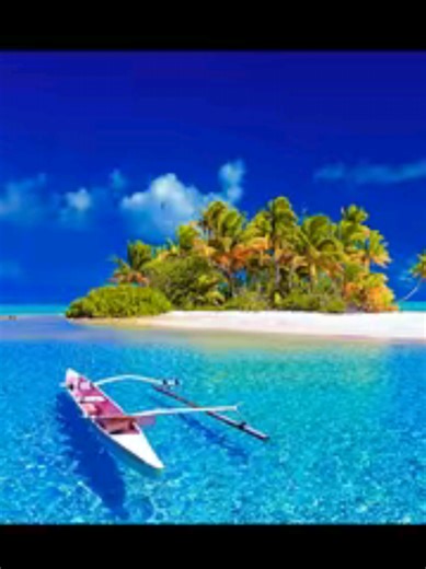 👉 Tu veux un coin de paradis chez toi ? 🌴 Découvre nos palmiers majestueux : Washingtonia robusta & filifera, Brahea armata, Phoenix dactylifera, roebelenii, Chamaerops humilis, Copernicia alba, Livistona, Syagrus romanzoffiana … 📍 Pépinière Décoverte Végétaux – Vestric-et-Candiac (30600) 🚚 Livraison pros dans toute l’Europe 📩 info@decovertevegetaux.fr #vegetaux #pepiniere #PaysageLuxe #JardinDePrestige #DécoVerteVégétaux