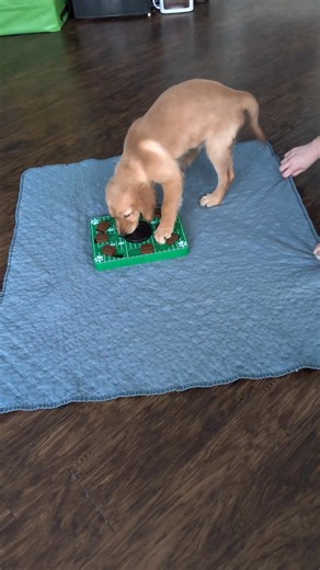 23 reactions | Lucy 懶 ✨ Scent Games ✨ It's Sunday, who's ready for...