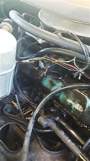 1979 Trans Am WS6 Engine Bay Cleanup | Before & After🤛