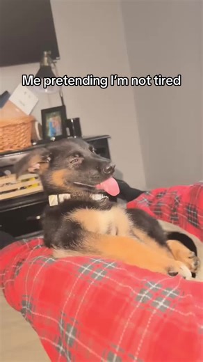 Adorable Baby Dexter: A Throwback