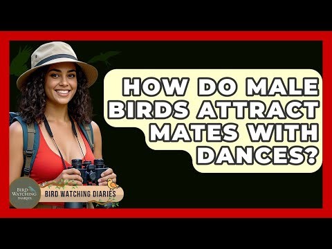 How Do Male Birds Attract Mates With Dances? - Bird Watching Diaries