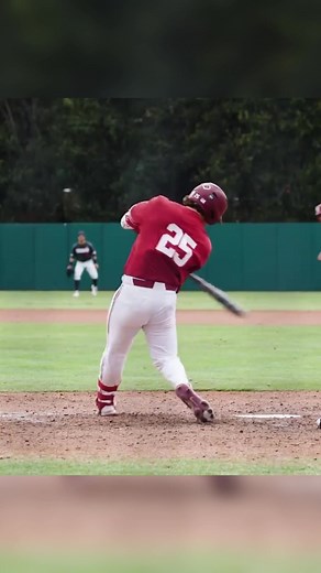 Exciting Baseball Game: Batter vs. Pitcher Showdown