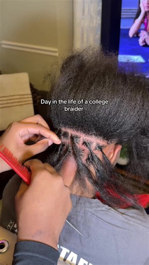 Color Mix Knotless Braids with Highlights