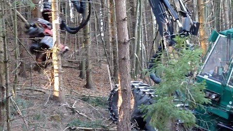 High-Tech Forestry Machines for Efficient Logging