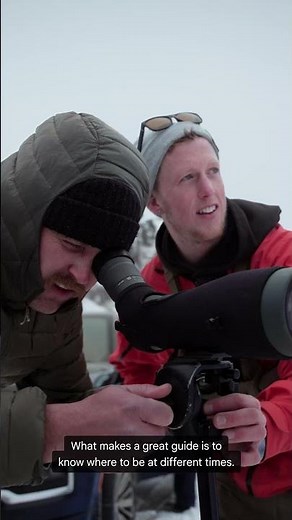 Wyoming - BrushBuck Wildlife Tours: Gemini in Google Sheets