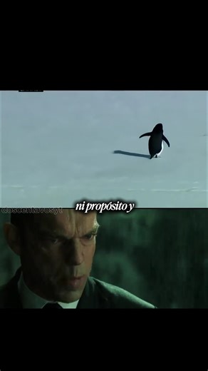 Que nadie les diga que no pueden ir a las montañas #cine #meme #matrix #doscentavosyt