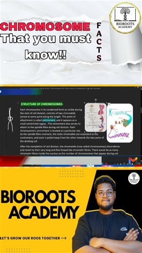 chromosome facts - that you must know !!