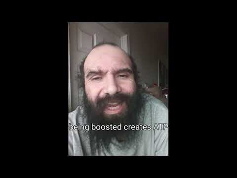 Fruits to support antigen presentation 