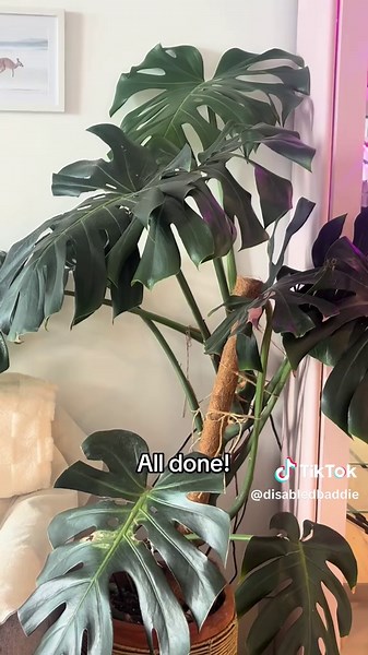 Coastal Apartment Decorating Ideas and Inspiration