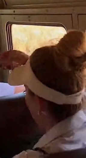 Phone Camera Captures Lion’s Brutal Attack