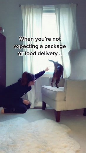 Ninja time🥷🏻 #sneaky #whoisit #stlouis #fyp #foryou