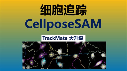 细胞追踪大升级-Trackmate-CellposeSAM