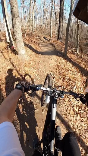 253 reactions · 3 comments | Swervin thru the trees at Coler Mountain Bike Preserve | Flpsde | Facebook