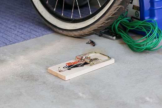 How to Get Rid of Mice in Your Garage