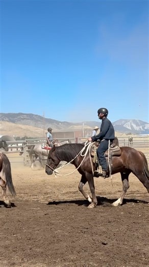 The next adoption event at the Northern Nevada Correctional Center in Carson City is Saturday, October 12. Up to 22 horses and one burro will be available. Here’s a sneak peek video! The catalog is posted online at https://ow.ly/ERHe50Sb8vF. Individual videos coming next week! 🐴 | Bureau of Land Management - Nevada